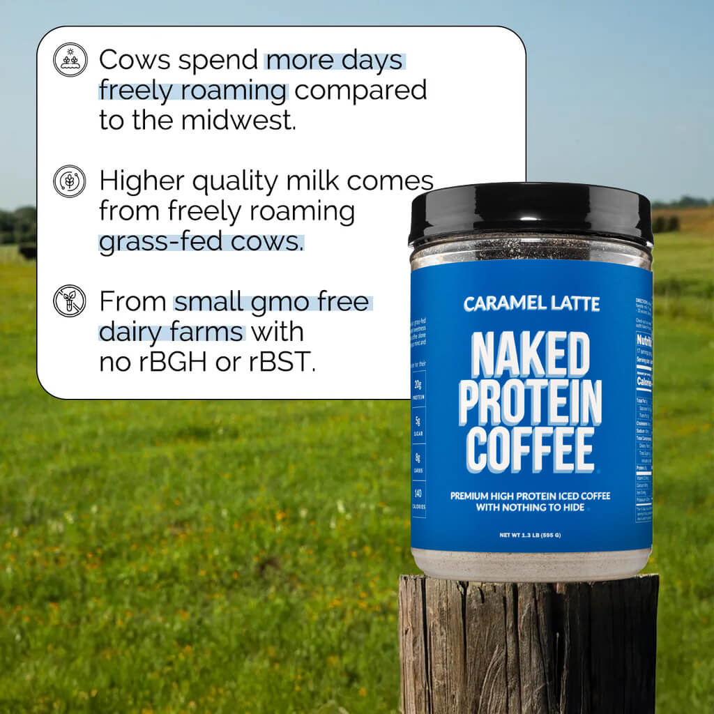 Caramel Latte Protein Iced Coffee - Caramel Latte, Clean Everyday Nutrition
