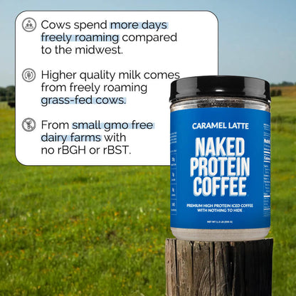 Caramel Latte Protein Iced Coffee - Caramel Latte, Clean Everyday Nutrition