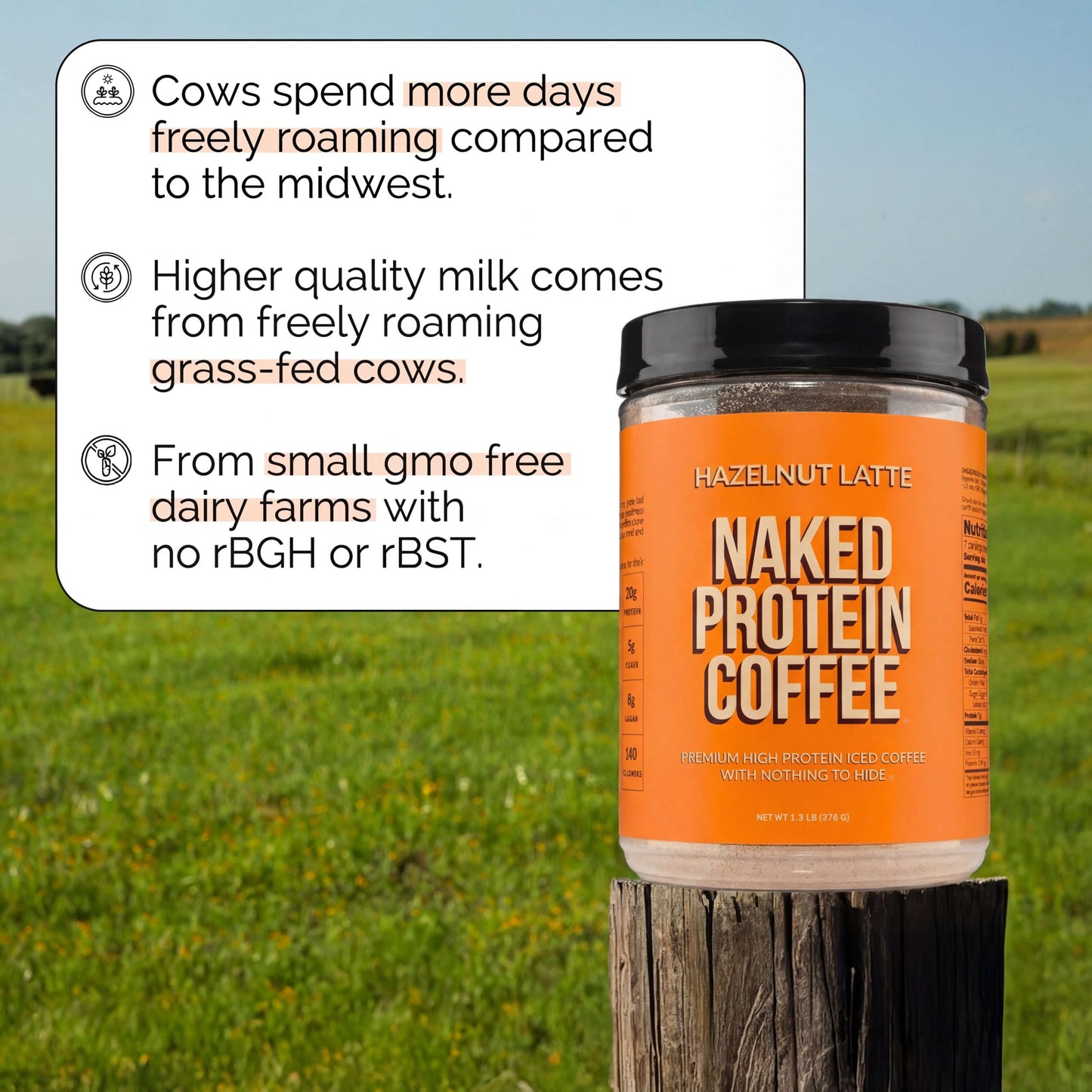 Hazelnut Latte Protein Iced Coffee - Hazelnut Latte, Clean Everyday Nutrition