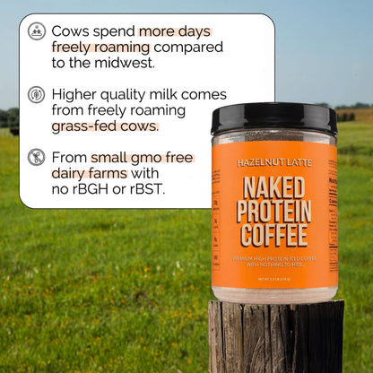 Hazelnut Latte Protein Iced Coffee - Hazelnut Latte, Clean Everyday Nutrition