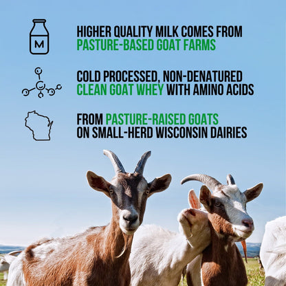 Chocolate Goat Whey Protein Powder - Chocolate, Clean Daily Protein Support