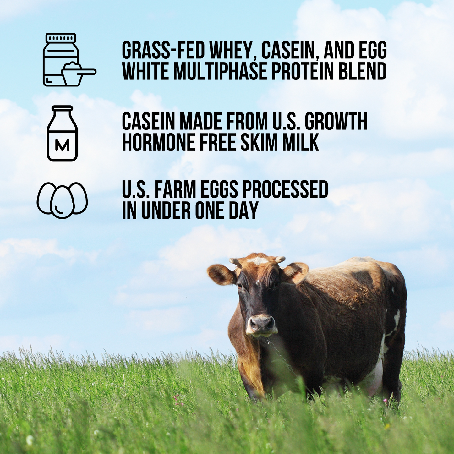 Protein Powder Blend - 3LB Egg Whey & Casein Protein Blend - 3LB, Clean Daily Protein Support
