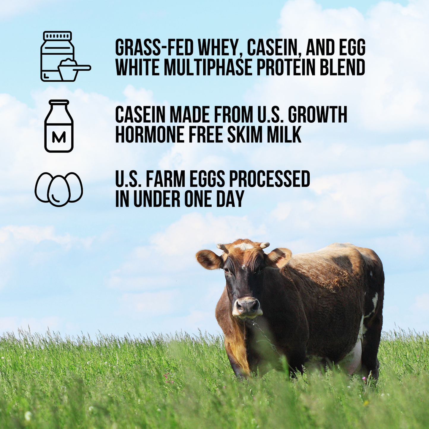 Protein Powder Blend - 1LB Egg Whey & Casein Protein Blend - 1LB, Clean Daily Protein Support
