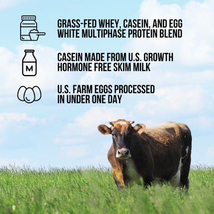 Protein Powder Blend - 1LB Egg Whey & Casein Protein Blend - 1LB, Clean Daily Protein Support