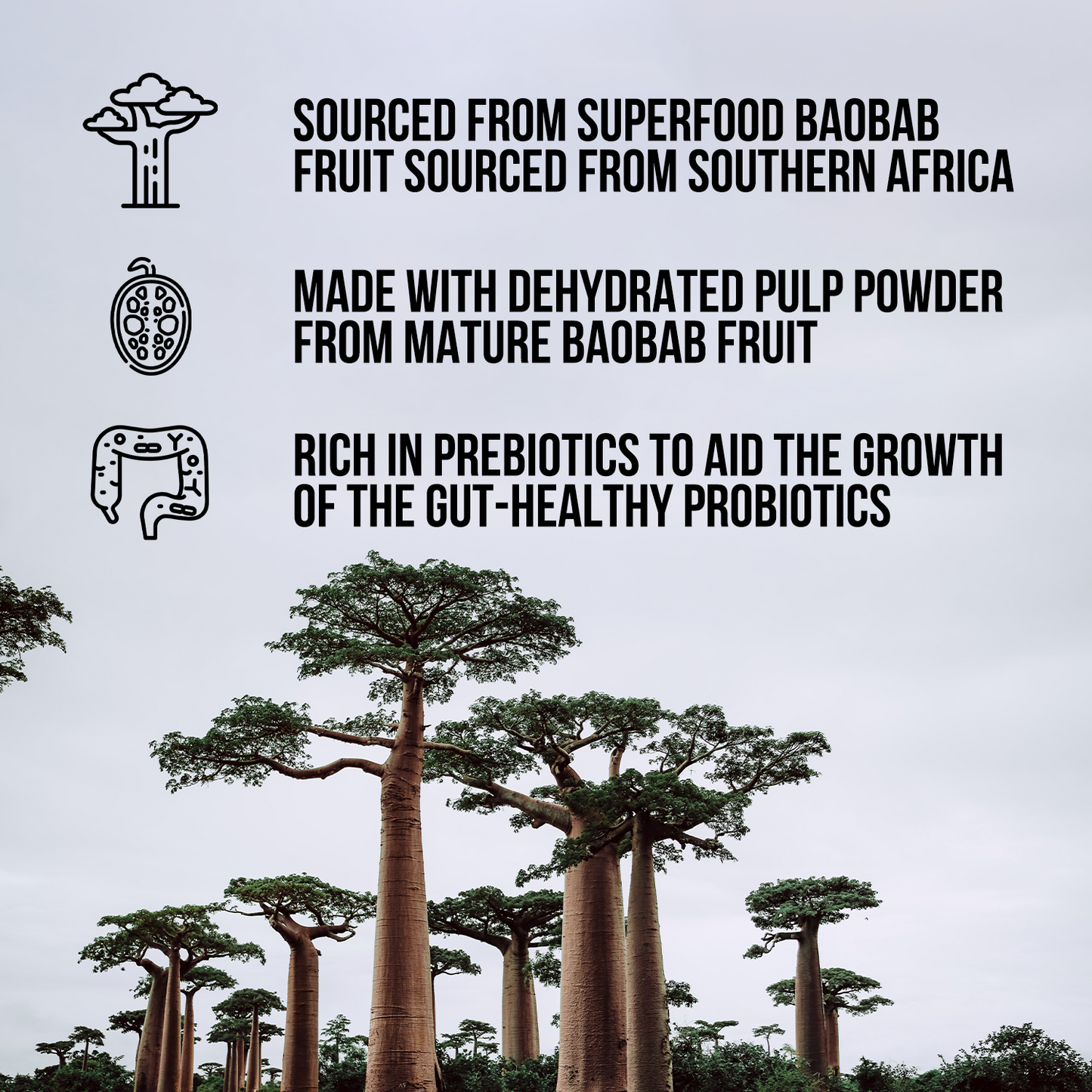 Organic Fiber Supplement, Daily Digestive Support