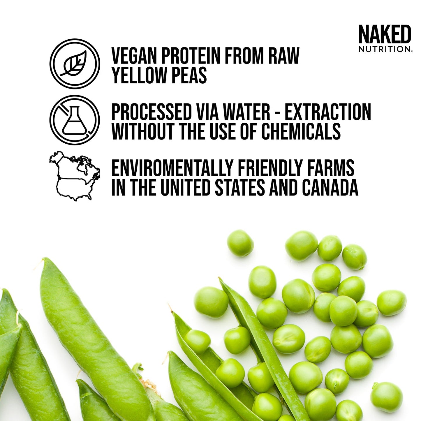 Vanilla Pea Protein Powder - Vanilla, Plant Based Daily Nutrition
