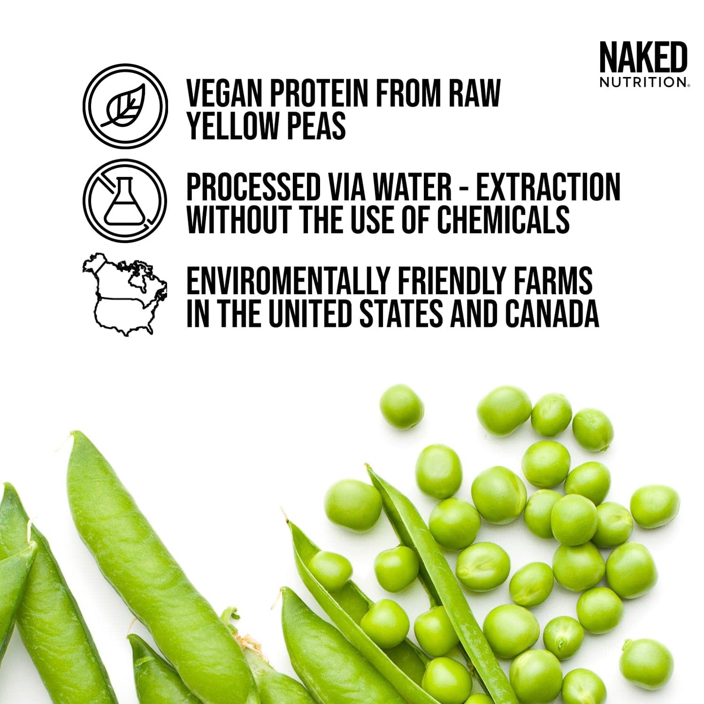 Chocolate Peanut Butter Pea Protein Powder - Chocolate PB, Plant Based Daily Nutrition